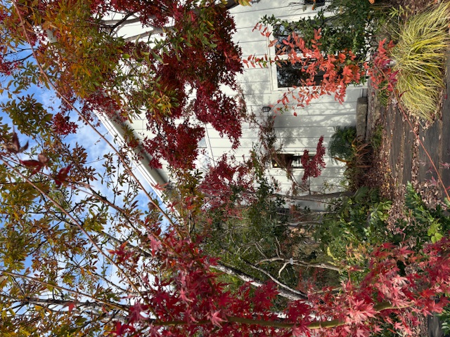 image0 - 2025-12-13T132904.430