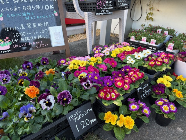 image0 - 2025-12-22T111713.948