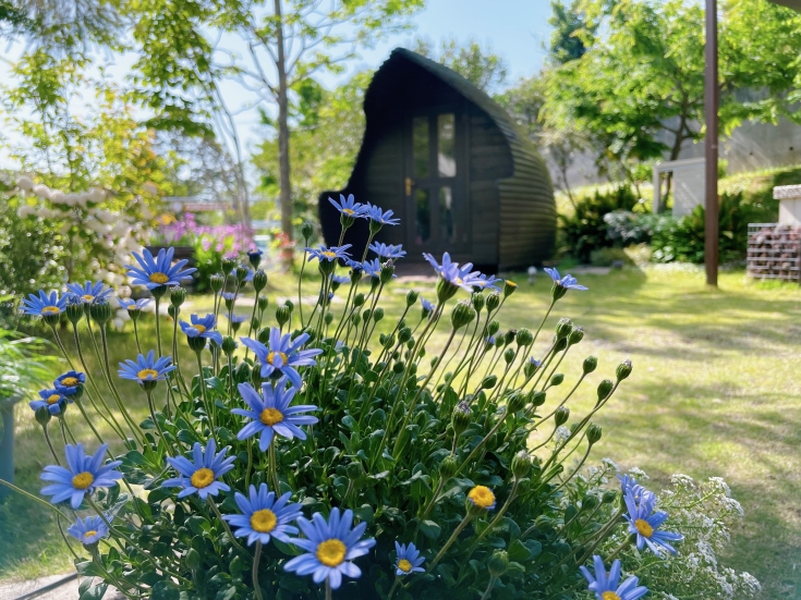 20230513_1104_54_0521w735_h551